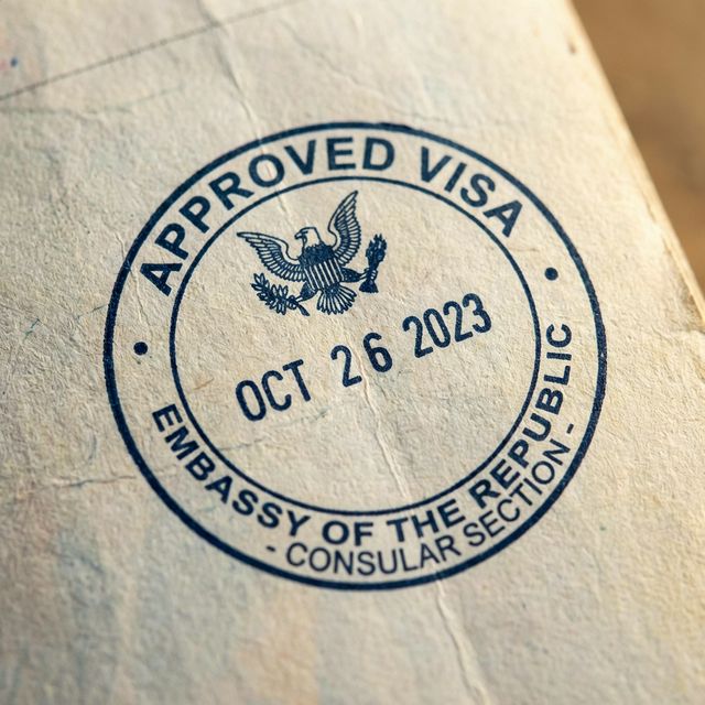 Successful Visa Processing